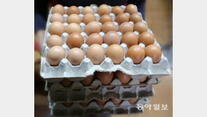 유럽산 ‘살충제 달걀’ 공포…국내산 달걀 안전성은?