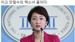신동욱, 이언주 당대표 출마에 “안철수의 엑스녀 꼴” 일침