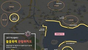 “명당은 어디?”…여수 불꽃축제, 관람 명당 9곳 공개