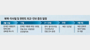 군사옵션 논의했나… 트럼프, 깨자마자 “준비됐다” 트윗