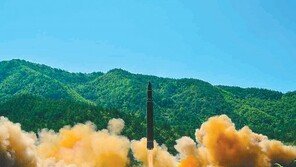 정세현 “‘우리 빼놓고 얘기하지 말라’ 메시지 확실히 보내야”