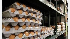 독성전문가 “국내산 달걀에서도 살충제 검출…피프로닐, 장기 노출시 독성 강할 수 있어”