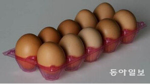 살충제달걀, 소비자 불안 ‘일파만파’…“언제부터 살충제계란 먹었을까”