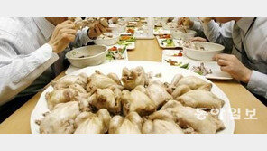 [살충제 계란 파문] “식용 닭고기 살충제 성분 검사도 해야”