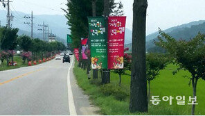 둘로 쪼개진 거창국제연극제 내년엔 합쳐질까