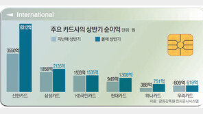 “벌어도 번게 아니네”… 웃지 못하는 카드사