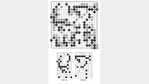 [바둑]알파고 vs 알파고 특선보… 알파고의 한계?