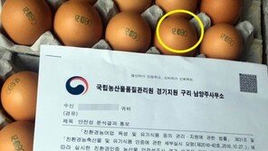 살충제 계란 파문…판별하는 방법은? 껍질에 쓰인 ‘숫자+문자’ 주목