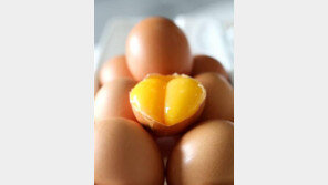 ‘살충제 계란’ 파동 낳은 피프로닐, 무엇?…“익혀 먹어도, 파괴 안 되고 장기 손상”