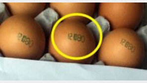 살충제 달걀 ‘친환경 인증’ 업체 “미래의 아이들 위해서 우리가 할 일”