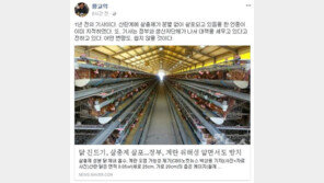 살충제 계란 파문…황교익 “1년 전 언론서 이미 지적, 변명 쉽지 않을 것”