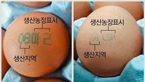 살충제 계란 파문에 마트·슈퍼·편의점 발칵…“달걀 팔아 말아?”