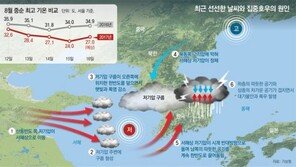 돌연 사라진 폭염… 롤러코스터 날씨