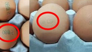 살충제 달걀 ‘11시온’·‘13정화’ 시중 유통 중 발견 …섭취 피하려면?