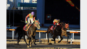 다크호스 ‘청담도끼’냐, 베테랑 ‘언비터블’이냐