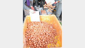 ‘친환경’ 믿고 샀더니, 60개 친환경농가서 살충제 계란 무더기…“국민이 호구냐”