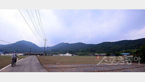 [이야기가 있는 마을] 아부지, 그 두꺼비 잡지 마오…은혜 갚은 아기 뱀