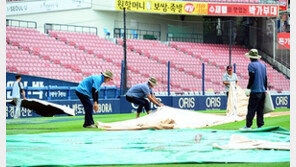 대형방수포, 왜 잠실구장에는 없을까?