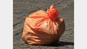 식재료 사면 바로 손질해 냉장… 덜 상해 버리는 것 적어져