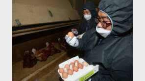 ‘살충제 달걀’ 파문, 농가서 준비한 달걀로 전수조사? 신뢰성 의문