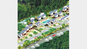 [화제의 분양현장]가구별 수영장이 있는 별장, 가평 풀빌라 