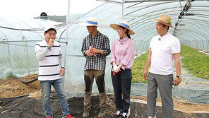 [오늘의 채널A] 이연복-강레오 셰프 ‘성주 참외 레시피’ 대방출