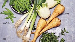 이런 채소는 처음이죠?