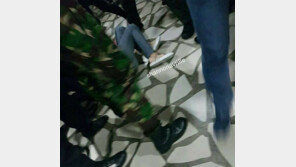 넘어지고 번쩍 들리고 울기까지…태연 자카르타 공항서 봉변 사진·영상 보니