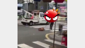 “학대자, 찾습니다”…동물권단체, 개 끌고 죽인 남성에 현상금 걸어