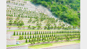 자연친화적 ‘수목장’ 선호도 꾸준히 증가