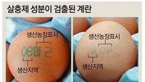 정부 “살충제 계란, 19일까지 농장서 전부 폐기할 것”