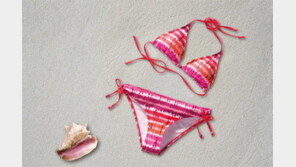 해운대 비키니女 생중계로 월 500만 원 수입…30대 BJ 검거