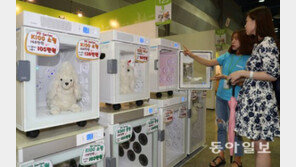 “애견 목욕 후 전용 드라이어 써보세요”