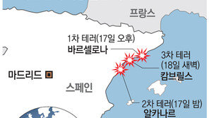 인도 덮친 밴, 500m 지그재그 돌진… 관광객들 허공으로 튕겨