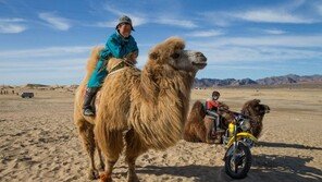 [여행, 나를 찾아서]우수여행상품에 선정된 ‘한민족의 시원’-‘코카서스’