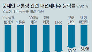 ‘문재인 테마주’ 반토막… 최대 84%↓
