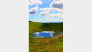 버스로 돌아보는 제주 중산간의 매력