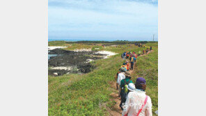 제주 ‘올레길’ 10주년 기념행사 다양