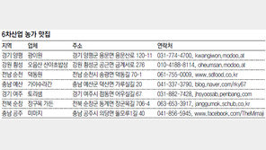 “나물캐고 가공-식당일까지 6차산업… 인스턴트 나물도 연구”