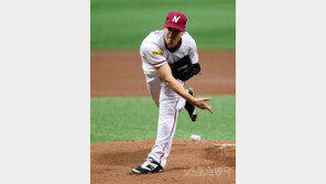 ‘저비용 초고효율’ 넥센 브리검의 가치에 주목하라