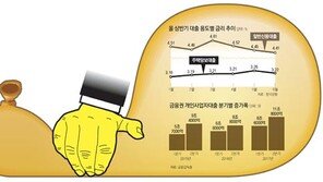 주택대출 누르니… 신용대출 증가 ‘풍선효과’