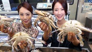“가을 꽃게 맛보세요”
