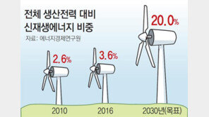 [단독]정부, 한전 앞세워 신재생에너지 가속