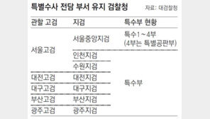檢, 민생관련 형사부 늘리고 특수부 축소