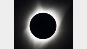 ‘그레이트 아메리칸 이클립스’…99년만의 개기일식에 트럼프도 ‘엄지 척’