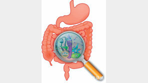 [헬스동아]건강의 핵심, 장… “유산균 섭취로 장내 세균 관리하세요”