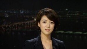 허일후 “배현진 앵커, 아나운서국에 소속된 신분 아냐”