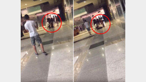 [영상]공포영화 보던 20대女, 귀신들린 듯 자학하며 괴성…응급실行