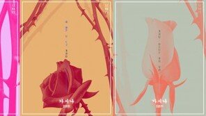 선미 신곡 ‘가시나’에 여자들 불쾌?…선미 “그 가시나 아냐”