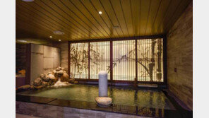 “사드보복 넘자”… 비즈니스호텔 ‘손님 모시기’ 총력 